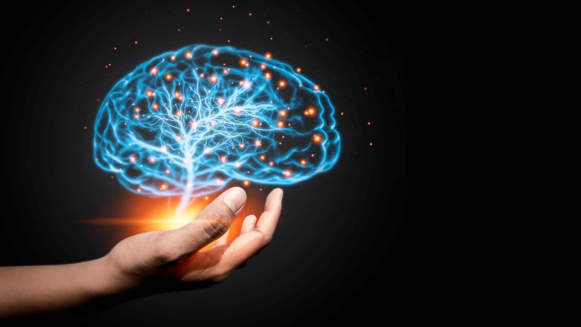 harmonizing-human-biology-to-enhance-stability